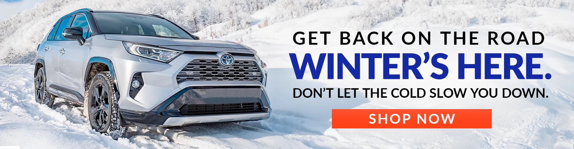 Perfect Paint, Delivered to Your Door